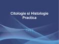 Citologie si Histologie Practica PowerPoint PPT Presentation