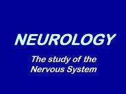 NEUROLOGY