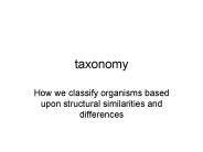 taxonomy