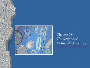 Chapter 28~      The Origins of Eukaryotic Diversity