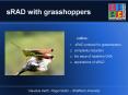 sRAD with grasshoppers PowerPoint PPT Presentation