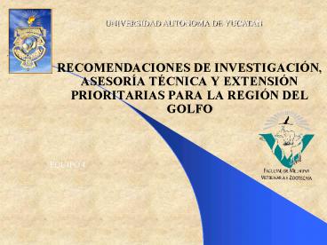 RECOMENDACIONES DE INVESTIGACI