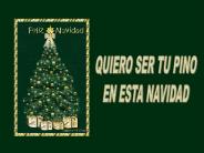 QUIERO SER TU PINO EN ESTA NAVIDAD