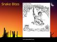 Snake Bites PowerPoint PPT Presentation