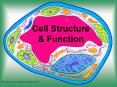 Cell Structure PowerPoint PPT Presentation