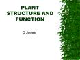 PLANT STRUCTURE AND FUNCTION PowerPoint PPT Presentation