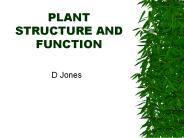 PLANT STRUCTURE AND FUNCTION
