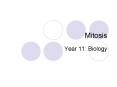Mitosis PowerPoint PPT Presentation