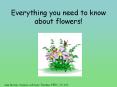 Everything you need to know about flowers! PowerPoint PPT Presentation