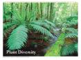 Plant Diversity PowerPoint PPT Presentation