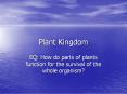Plant Kingdom PowerPoint PPT Presentation
