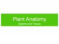 Plant Anatomy PowerPoint PPT Presentation