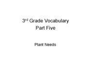 3rd Grade Vocabulary
