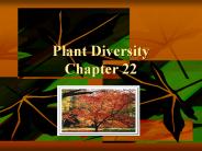 Plant Diversity Chapter 22