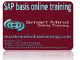 SAP basis online training | Online SAP basis Training in usa, uk, Canada, Malaysia, Australia, India, Singapore. PowerPoint PPT Presentation