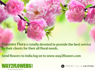 Online Flowers Delivery in Chandigarh by Punsons Flora