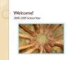 2008-2009 School Year PowerPoint PPT Presentation