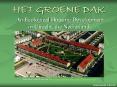 HET GROENE DAK PowerPoint PPT Presentation
