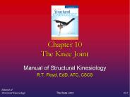 Manual of Structural Kinesiology