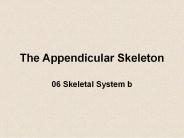 The Appendicular Skeleton