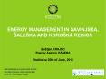 ENERGY MANAGEMENT IN SAVINJSKA,  PowerPoint PPT Presentation