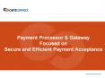Payment Processor PowerPoint PPT Presentation