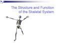 The Structure and Function of the Skeletal System PowerPoint PPT Presentation