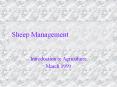 Sheep Management PowerPoint PPT Presentation
