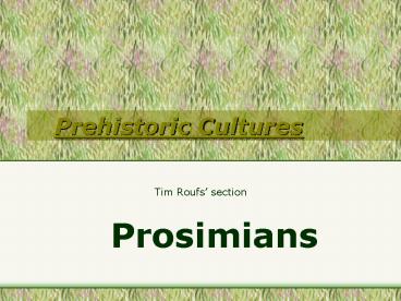 Prehistoric Cultures