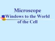 Microscope Windows to the World of the Cell