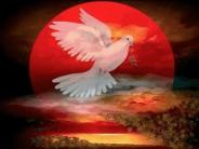 SOLENIDADE DO PENTECOSTES