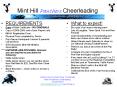 Mint Hill Panthers Cheerleading PowerPoint PPT Presentation