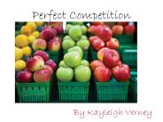 Perfect Competition