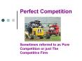 Perfect Competition PowerPoint PPT Presentation