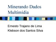 Minerando Dados Multim