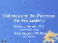 Diabetes and the Pancreas PowerPoint PPT Presentation