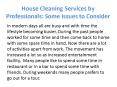 House Cleaning Services by Professionals: Some Issues to Consider PowerPoint PPT Presentation