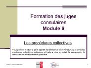 Formation des juges consulaires Module 6