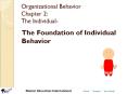 Organizational Behavior Chapter 2: The Individual- PowerPoint PPT Presentation