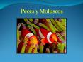 Peces y Moluscos PowerPoint PPT Presentation