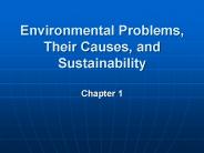 Environmental Problems, Their Causes, and Sustainability