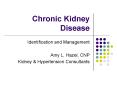 Chronic Kidney Disease PowerPoint PPT Presentation