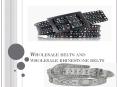 Wholesale belts and wholesale rhinestone belts PowerPoint PPT Presentation