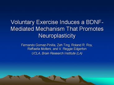 Voluntary Exercise Induces a BDNF-Mediated Mechanism That Promotes Neuroplasticity