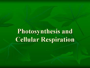 Photosynthesis and Cellular Respiration