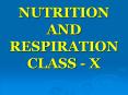 NUTRITION AND RESPIRATION CLASS - X PowerPoint PPT Presentation