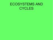 ECOSYSTEMS AND CYCLES