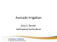 Avocado Irrigation PowerPoint PPT Presentation
