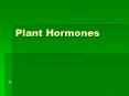 Plant Hormones PowerPoint PPT Presentation