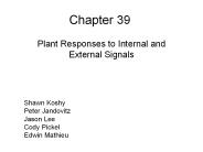 Plant Responses to Internal and External Signals